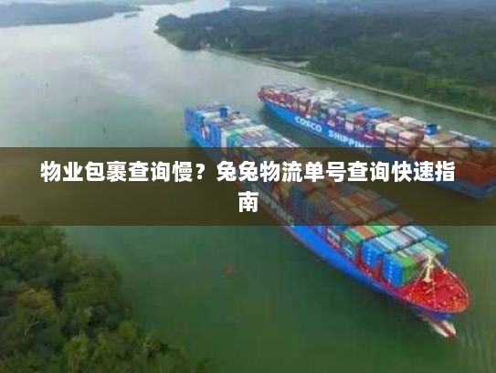 物业包裹查询慢?兔兔物流单号查询快速指南 物业包裹查询慢?兔兔物流单号查询快速指南