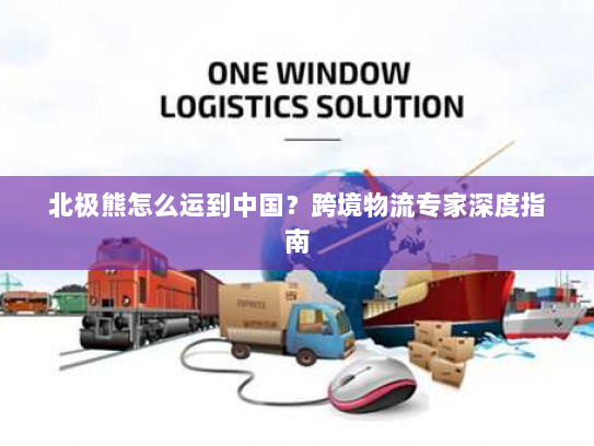 北极熊怎么运到中国?跨境物流专家深度指南 北极熊怎么运到中国?跨境物流专家深度指南