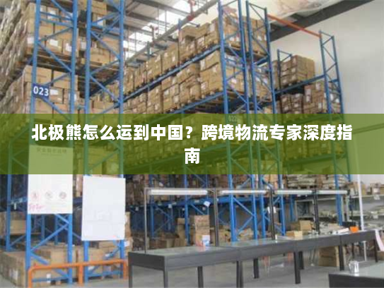 北极熊怎么运到中国?跨境物流专家深度指南 北极熊怎么运到中国?跨境物流专家深度指南