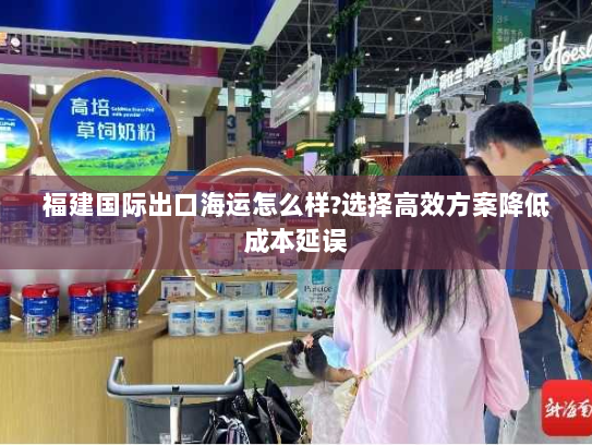 福建国际出口海运怎么样?选择高效方案降低成本延误