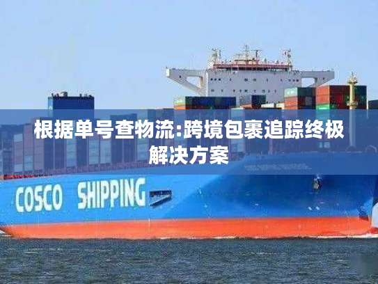 根据单号查物流:跨境包裹追踪终极解决方案