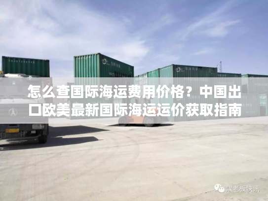 怎么查国际海运费用价格？中国出口欧美最新国际海运运价获取指南