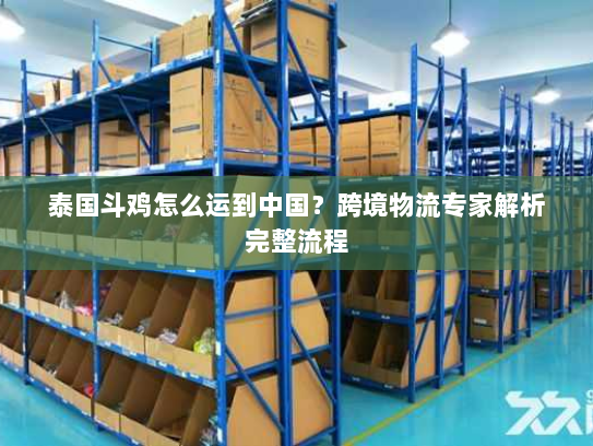 泰国斗鸡怎么运到中国?跨境物流专家解析完整流程 泰国斗鸡怎么运到中国?跨境物流专家解析完整流程