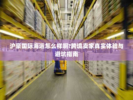 沪豪国际海运怎么样啊?跨境卖家真实体验与避坑指南 沪豪国际海运怎么样啊?跨境卖家真实体验与避坑指南
