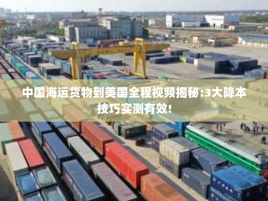 中国海运货物到美国全程视频揭秘:3大降本技巧实测有效!
