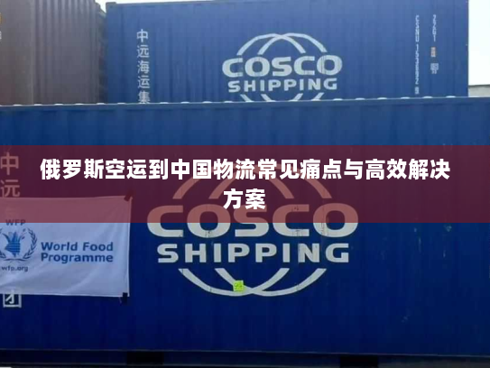 俄罗斯空运到中国物流常见痛点与高效解决方案 俄罗斯空运到中国物流常见痛点与高效解决方案
