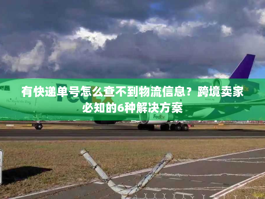 有快递单号怎么查不到物流信息?跨境卖家必知的6种解决方案 有快递单号怎么查不到物流信息?跨境卖家必知的6种解决方案