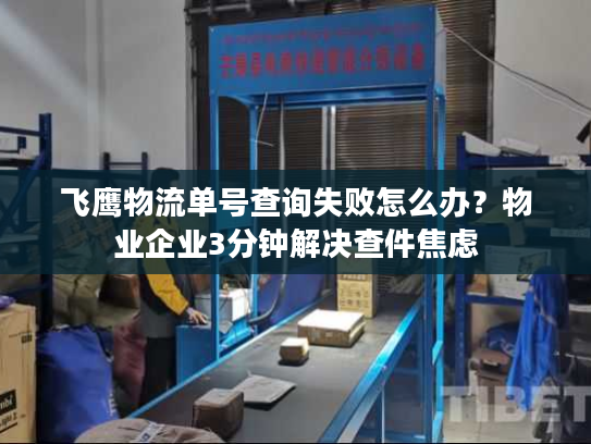 飞鹰物流单号查询失败怎么办？物业企业3分钟解决查件焦虑