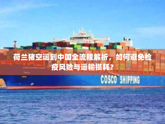 荷兰猪空运到中国全流程解析，如何避免检疫风险与运输损耗？