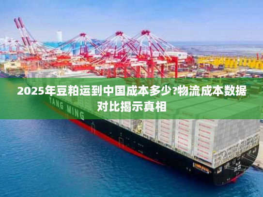 2025年豆粕运到中国成本多少?物流成本数据对比揭示真相 2025年豆粕运到中国成本多少?物流成本数据对比揭示真相