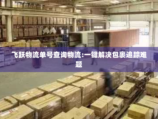 飞跃物流单号查询物流:一键解决包裹追踪难题 飞跃物流单号查询物流:一键解决包裹追踪难题