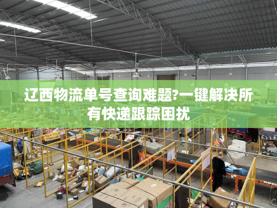 辽西物流单号查询难题?一键解决所有快递跟踪困扰