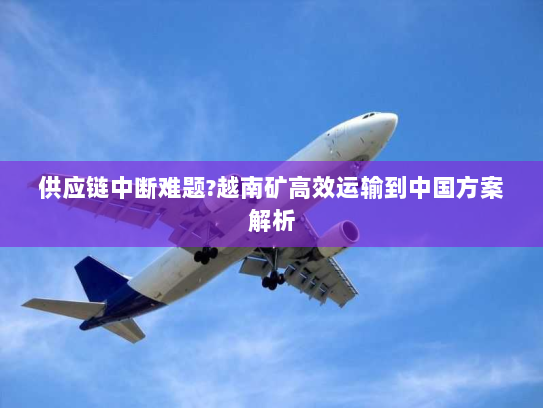 供应链中断难题?越南矿高效运输到中国方案解析