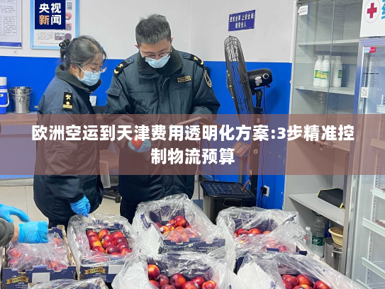 欧洲空运到天津费用透明化方案:3步精准控制物流预算