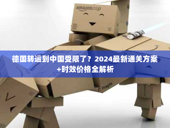 德国转运到中国受限了?2024最新通关方案+时效价格全解析 德国转运到中国受限了?2024最新通关方案+时效价格全解析