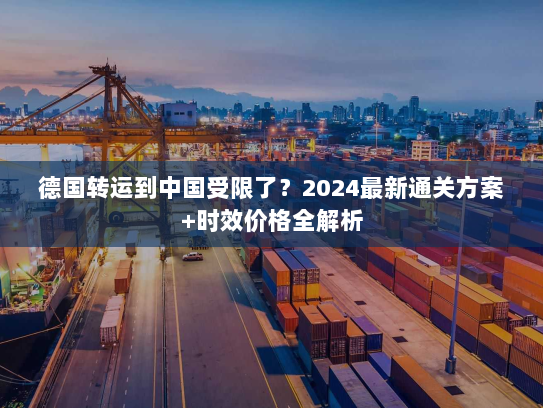 德国转运到中国受限了?2024最新通关方案+时效价格全解析 德国转运到中国受限了?2024最新通关方案+时效价格全解析
