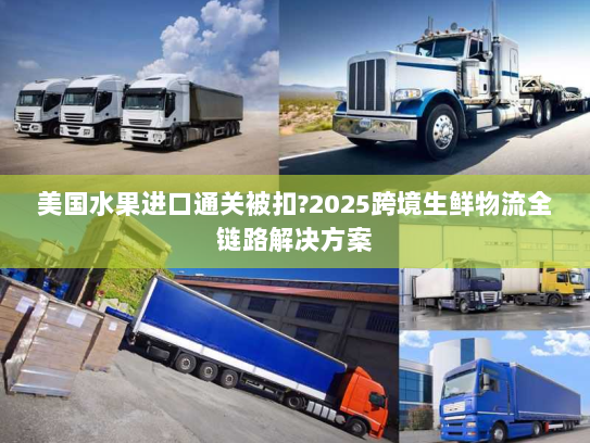 美国水果进口通关被扣?2025跨境生鲜物流全链路解决方案 美国水果进口通关被扣?2025跨境生鲜物流全链路解决方案