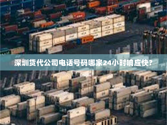 深圳货代公司电话号码哪家24小时响应快？