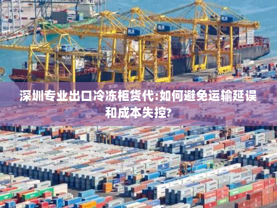 深圳专业出口冷冻柜货代:如何避免运输延误和成本失控? 深圳专业出口冷冻柜货代:如何避免运输延误和成本失控?
