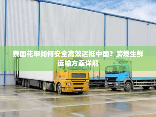 泰国花甲如何安全高效运抵中国?跨境生鲜运输方案详解 泰国花甲如何安全高效运抵中国?跨境生鲜运输方案详解