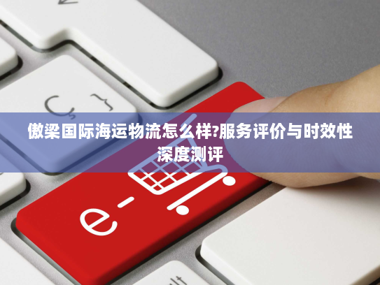 傲梁国际海运物流怎么样?服务评价与时效性深度测评