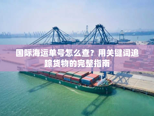 国际海运单号怎么查？用关键词追踪货物的完整指南