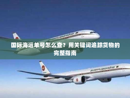国际海运单号怎么查？用关键词追踪货物的完整指南