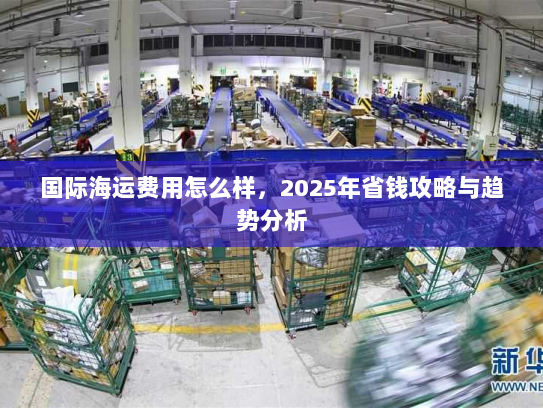 国际海运费用怎么样,2025年省钱攻略与趋势分析 国际海运费用怎么样,2025年省钱攻略与趋势分析