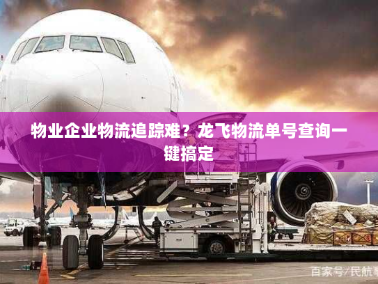 物业企业物流追踪难？龙飞物流单号查询一键搞定