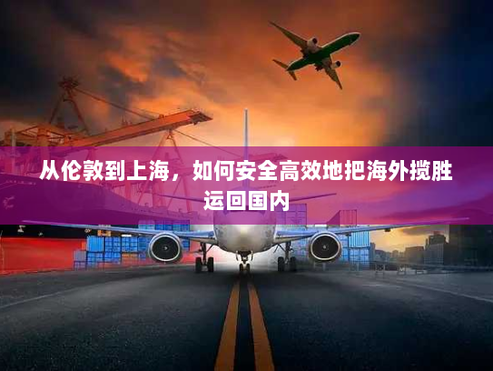 从伦敦到上海,如何安全高效地把海外揽胜运回国内 从伦敦到上海,如何安全高效地把海外揽胜运回国内