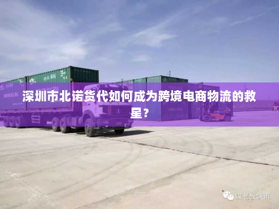 深圳市北诺货代如何成为跨境电商物流的救星? 深圳市北诺货代如何成为跨境电商物流的救星?