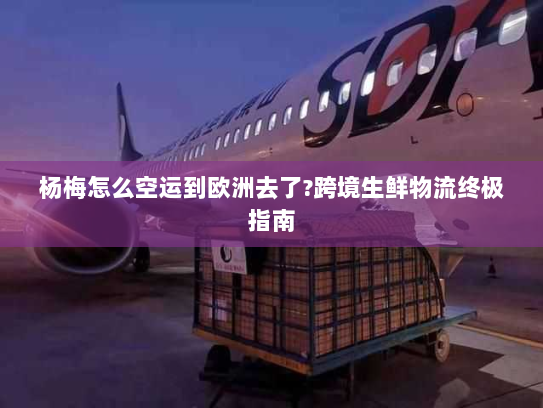 杨梅怎么空运到欧洲去了?跨境生鲜物流终极指南 杨梅怎么空运到欧洲去了?跨境生鲜物流终极指南