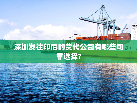 深圳发往印尼的货代公司有哪些可靠选择?