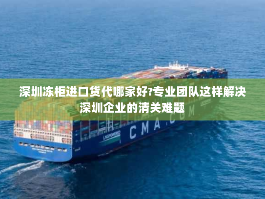 深圳冻柜进口货代哪家好?专业团队这样解决深圳企业的清关难题 深圳冻柜进口货代哪家好?专业团队这样解决深圳企业的清关难题
