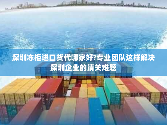 深圳冻柜进口货代哪家好?专业团队这样解决深圳企业的清关难题 深圳冻柜进口货代哪家好?专业团队这样解决深圳企业的清关难题