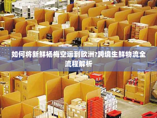 如何将新鲜杨梅空运到欧洲?跨境生鲜物流全流程解析