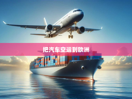 把汽车空运到欧洲 把汽车空运到欧洲