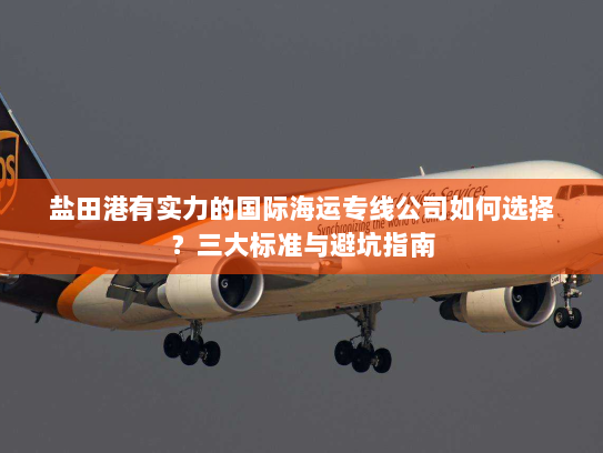 盐田港有实力的国际海运专线公司如何选择?三大标准与避坑指南 盐田港有实力的国际海运专线公司如何选择?三大标准与避坑指南