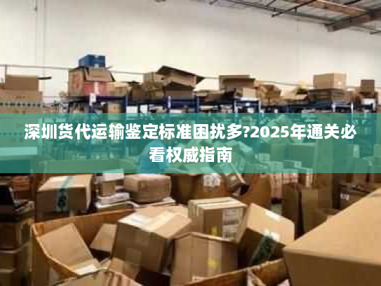 深圳货代运输鉴定标准困扰多?2025年通关必看权威指南 深圳货代运输鉴定标准困扰多?2025年通关必看权威指南