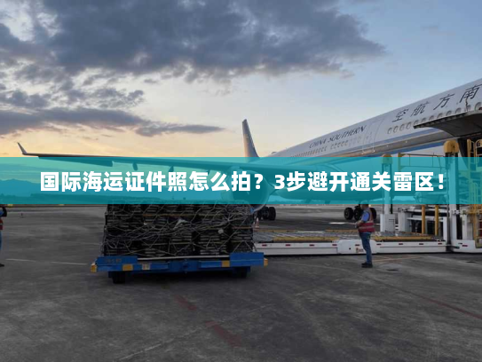 国际海运证件照怎么拍?3步避开通关雷区! 国际海运证件照怎么拍?3步避开通关雷区!