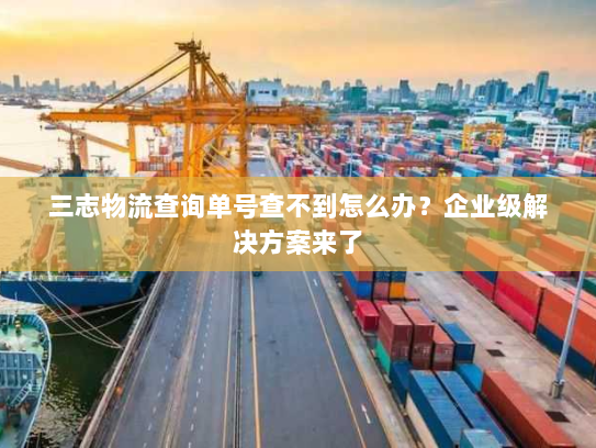 三志物流查询单号查不到怎么办？企业级解决方案来了