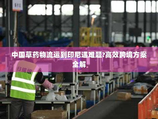 中国草药物流运到印尼遇难题?高效跨境方案全解