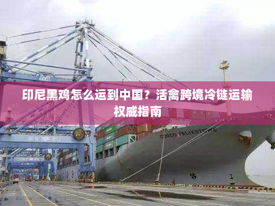 印尼黑鸡怎么运到中国？活禽跨境冷链运输权威指南