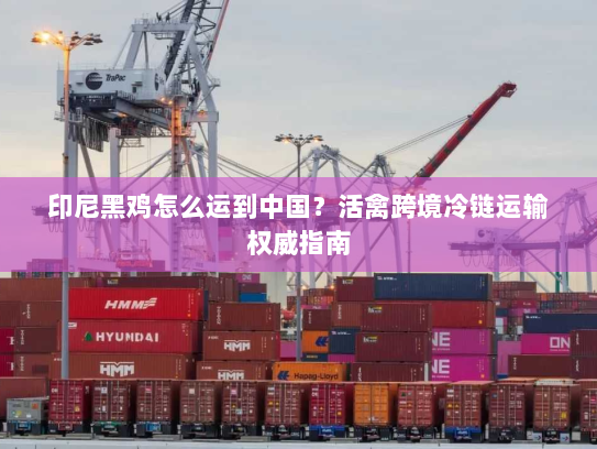 印尼黑鸡怎么运到中国?活禽跨境冷链运输权威指南 印尼黑鸡怎么运到中国?活禽跨境冷链运输权威指南