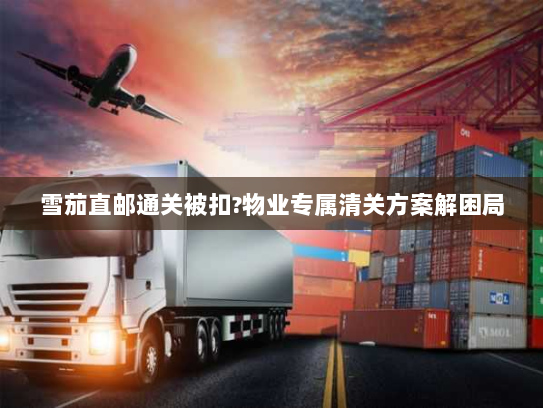 雪茄直邮通关被扣?物业专属清关方案解困局