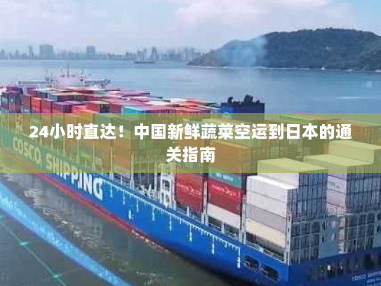 24小时直达!中国新鲜蔬菜空运到日本的通关指南 24小时直达!中国新鲜蔬菜空运到日本的通关指南