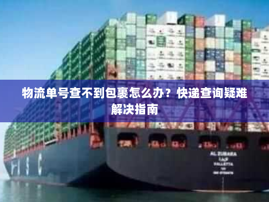 物流单号查不到包裹怎么办?快递查询疑难解决指南 物流单号查不到包裹怎么办?快递查询疑难解决指南