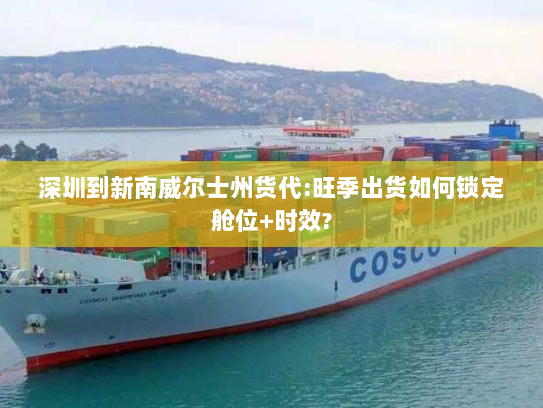深圳到新南威尔士州货代:旺季出货如何锁定舱位+时效?