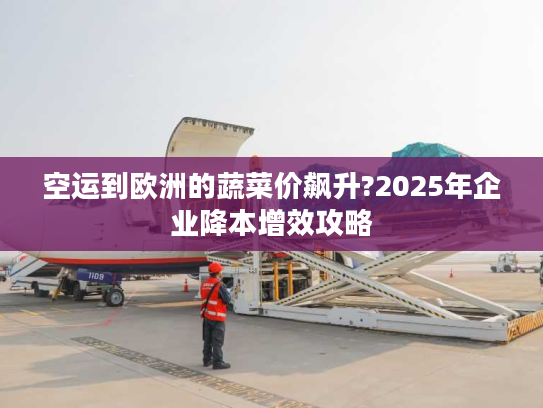 空运到欧洲的蔬菜价飙升?2025年企业降本增效攻略