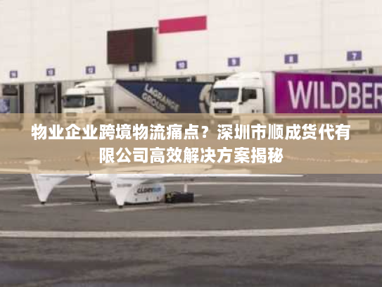 物业企业跨境物流痛点?深圳市顺成货代有限公司高效解决方案揭秘 物业企业跨境物流痛点?深圳市顺成货代有限公司高效解决方案揭秘